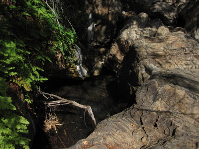 Cattail Falls_1779.JPG