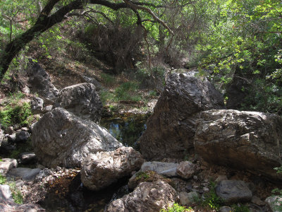 Cattail Falls_1786.JPG
