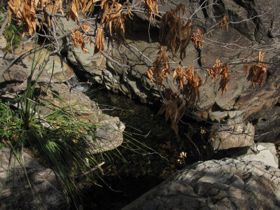 Cattail Falls_1787.JPG