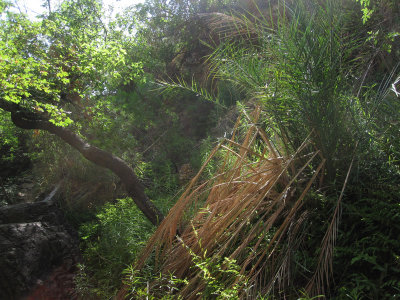 Cattail Falls_1789.JPG