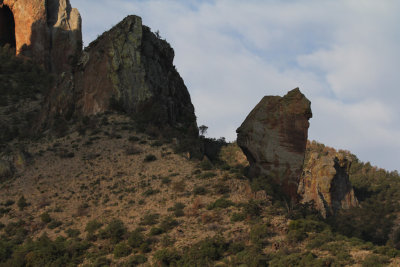 Pine Canyon_5528.JPG