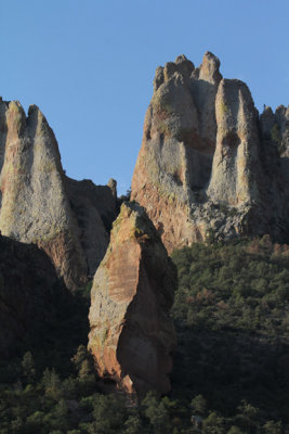 Pine Canyon_5530.JPG