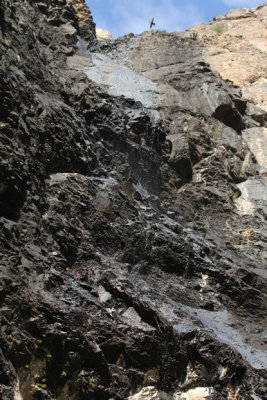 Pine Canyon_5566.JPG