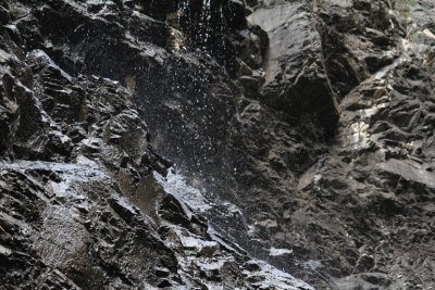 Pine Canyon_5583.JPG
