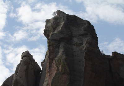 Pine Canyon_5598.JPG
