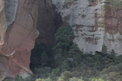 Pine Canyon_5599.JPG