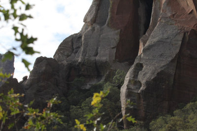 Pine Canyon_5600.JPG