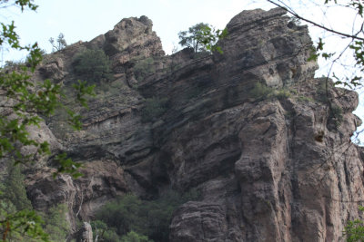 Pine Canyon_5601.JPG