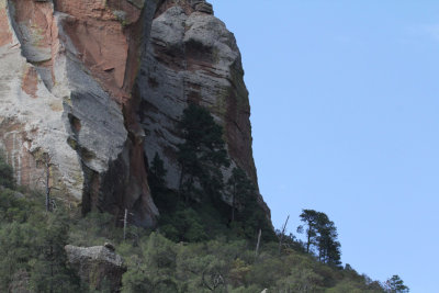 Pine Canyon_5602.JPG