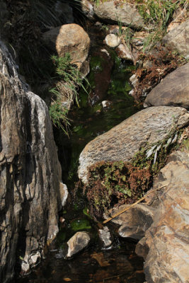 Cattail Falls_5633.JPG