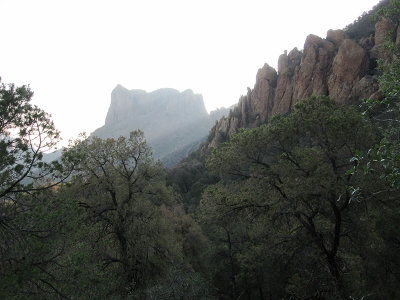 Pinnacles Trail_1807.JPG