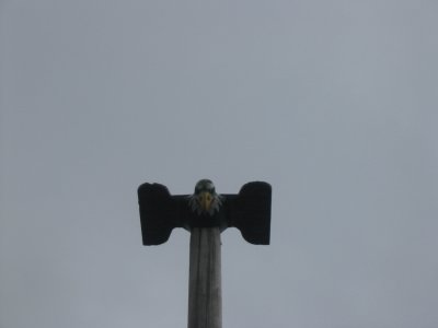 111-1134_IMG.JPG