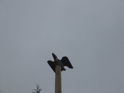 111-1140_IMG.JPG