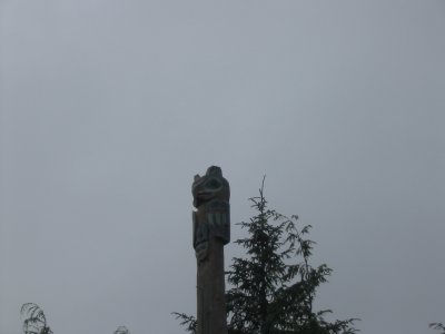 111-1146_IMG.JPG