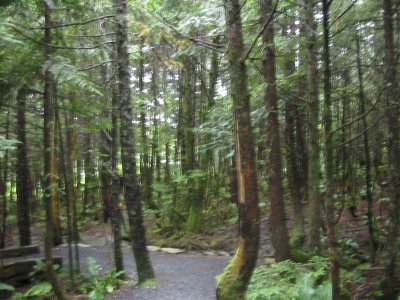 111-1156_IMG.JPG