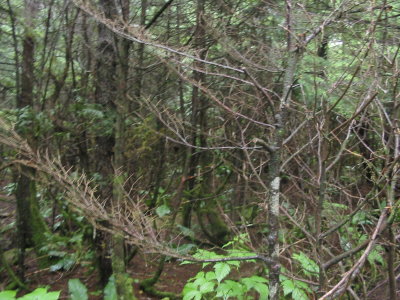 111-1157_IMG.JPG