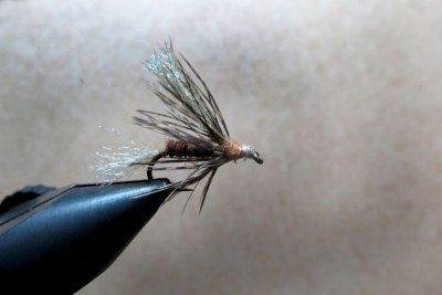 The Flymph