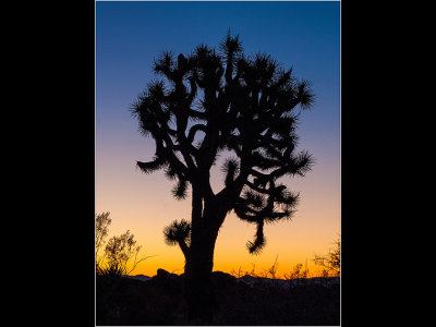 G_MuhrleinHal_Dawn Silhouette.jpg