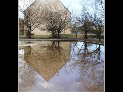S_MurphyB_Reflection after heavy rain.jpg