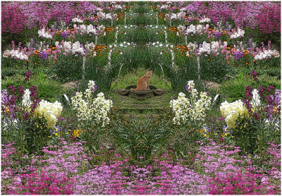 C_FarleyC_Secret Garden.jpg
