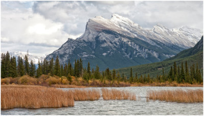 G_DeArmanS_Wetland Beneath Mt Rundle.jpg