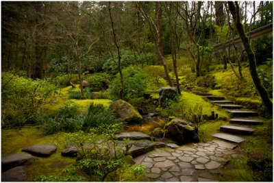 G_MatthewsJ_Portland Japanese Garden.jpg