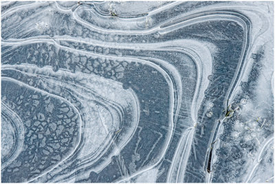 S_BockusD_Ice Patterns on frozen Puddle.print.jpg