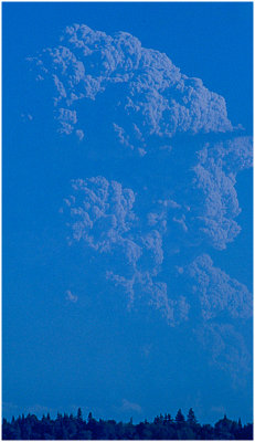 S_HalesK_Mt St Helens Blue Up-Seen from Bellevue.jpg