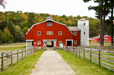 Animal Farm