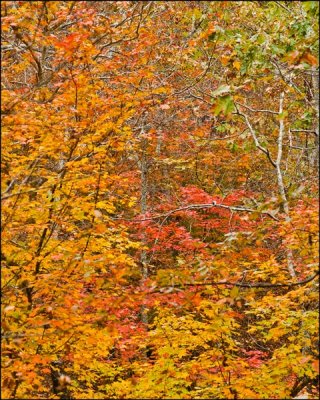 Hillside Highlights