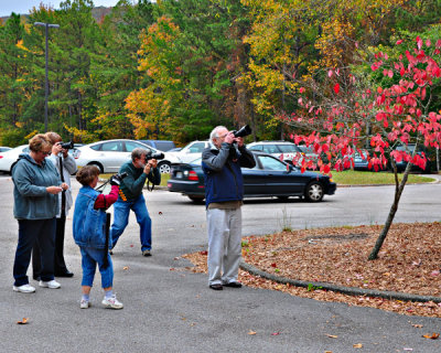 Capturing Fall Color