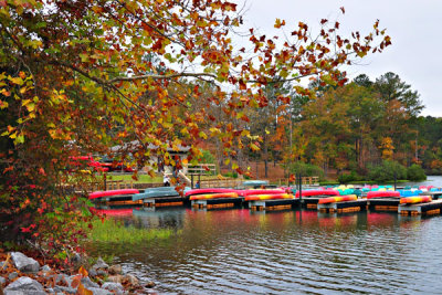 Fall at the Marina
