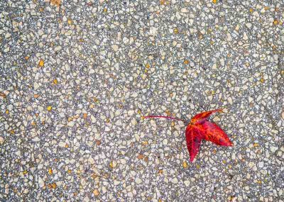 Fall is here