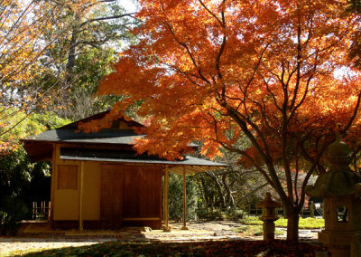 Japanese House