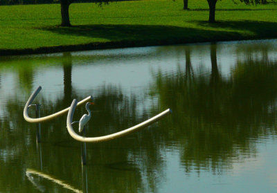 Peaceful Morning