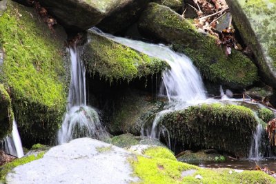 Waterfall in the Smokies