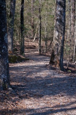 Turkey Ridge Trail