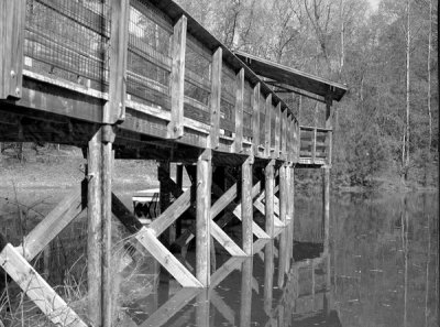 Tadpole Pond Bridge - Film Image