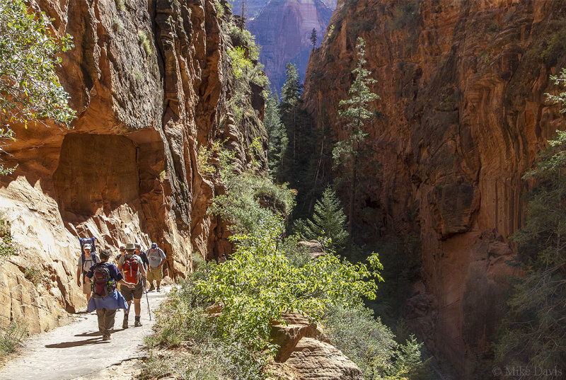 Trail to Angels Landing