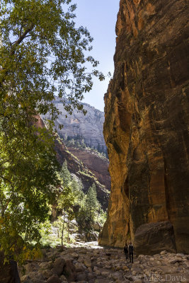 Virgin River Narrows