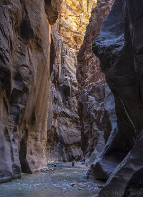 Virgin River Narrows