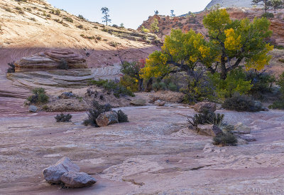 Zion National Park