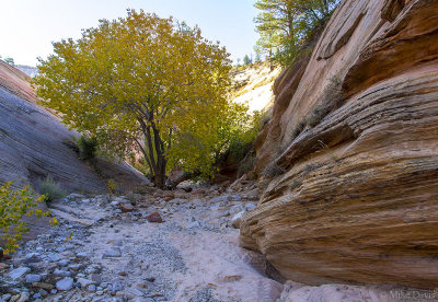 Clear Creek Canyon