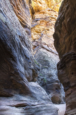 Clear Creek Canyon