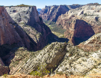 Observation Point