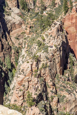 Trail to Angel's Landing