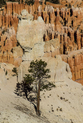 Bryce Canyon