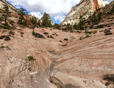 Water Holes Canyon