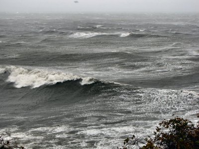 Hurricane Sandy.jpg
