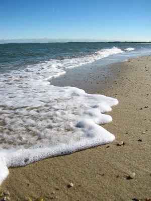 Sea Foam.jpg